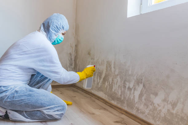 Hvac And Air Duct Mold Remediation inspection of HVAC system in Mount Wolf